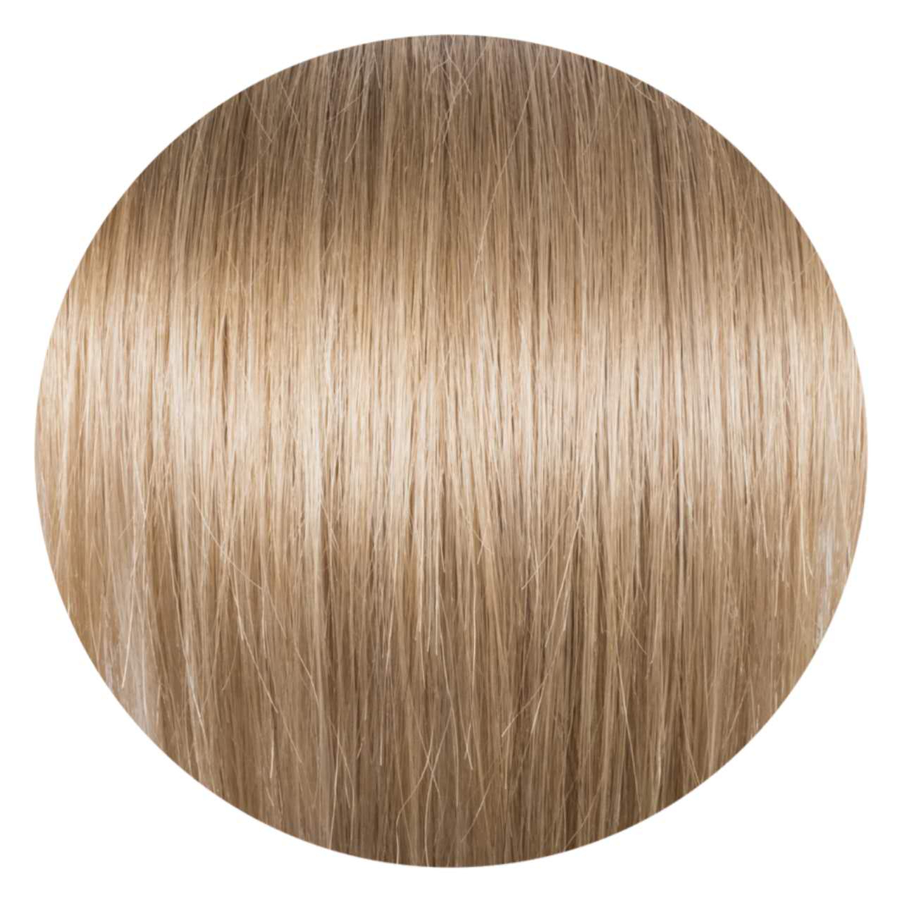 12" Clip In Hair Extensions Deluxe Box ($208.00-$238.00)